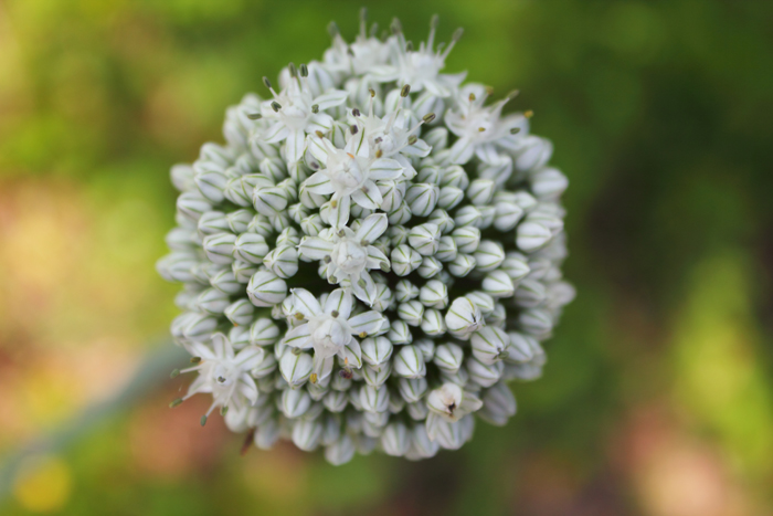 Spring Home Maintenance