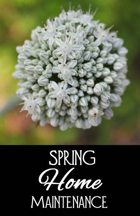 Home Maintenance in Spring